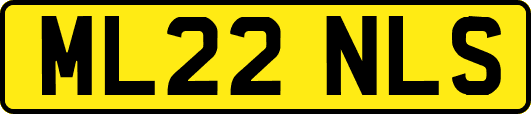 ML22NLS