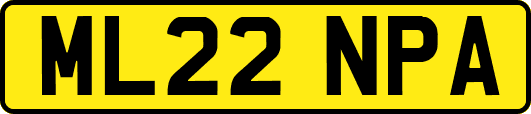 ML22NPA