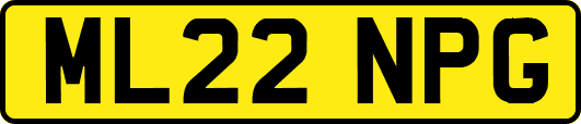 ML22NPG