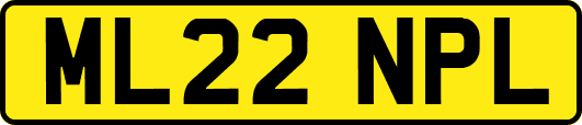 ML22NPL