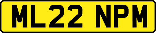 ML22NPM