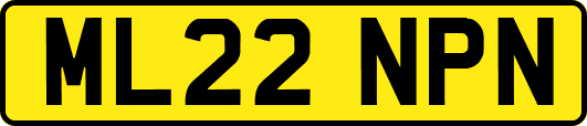 ML22NPN