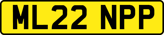 ML22NPP
