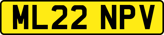 ML22NPV