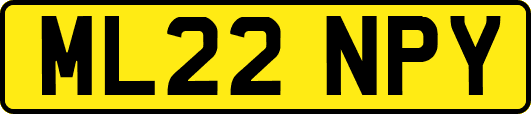 ML22NPY
