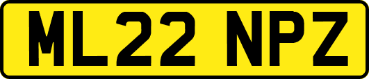 ML22NPZ