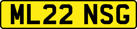 ML22NSG