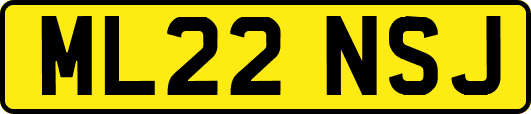 ML22NSJ