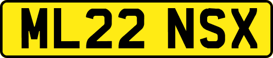 ML22NSX
