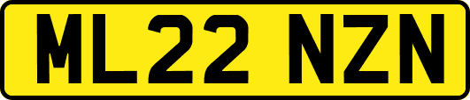ML22NZN