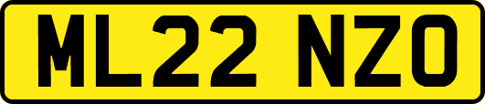 ML22NZO
