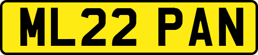 ML22PAN
