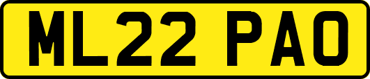 ML22PAO