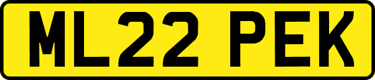 ML22PEK