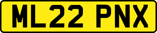 ML22PNX