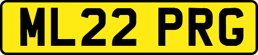 ML22PRG