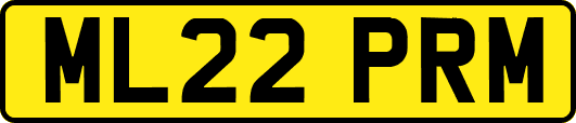 ML22PRM