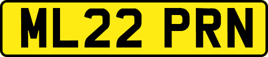 ML22PRN