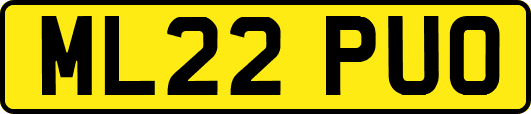 ML22PUO