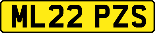 ML22PZS