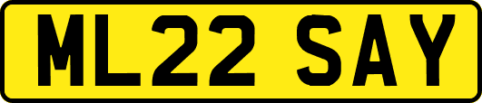 ML22SAY