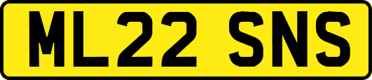 ML22SNS