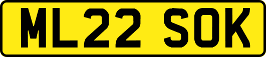 ML22SOK