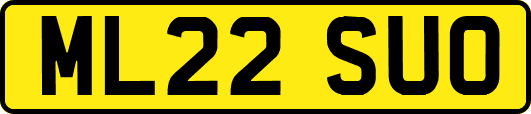 ML22SUO