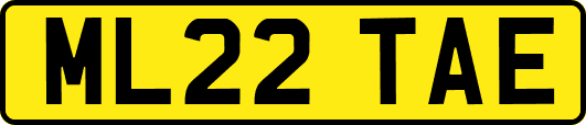 ML22TAE
