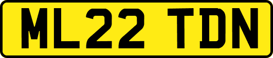 ML22TDN