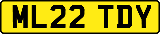 ML22TDY