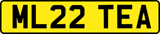 ML22TEA