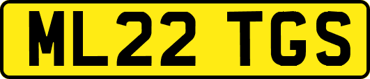ML22TGS