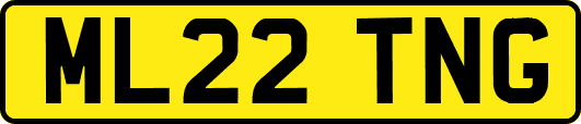 ML22TNG