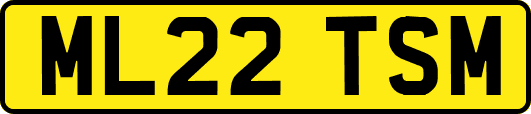 ML22TSM