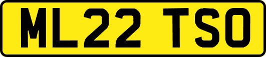 ML22TSO