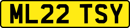 ML22TSY