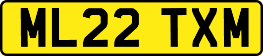 ML22TXM