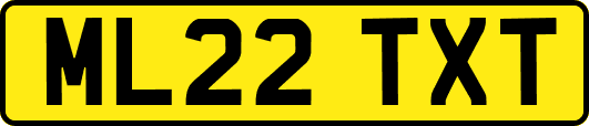 ML22TXT