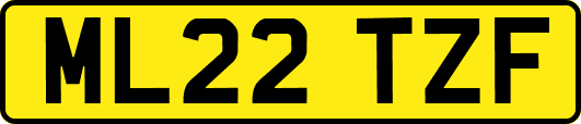 ML22TZF
