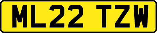 ML22TZW