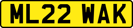 ML22WAK