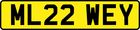 ML22WEY