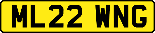 ML22WNG