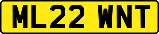 ML22WNT