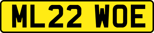 ML22WOE