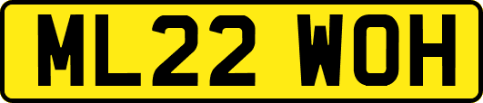 ML22WOH