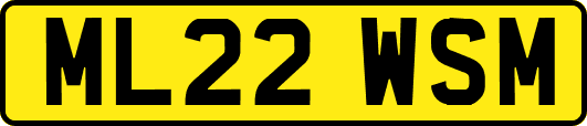 ML22WSM