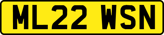 ML22WSN