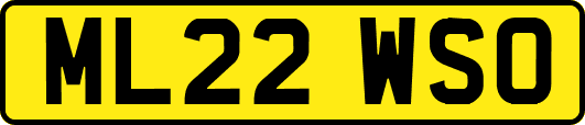 ML22WSO